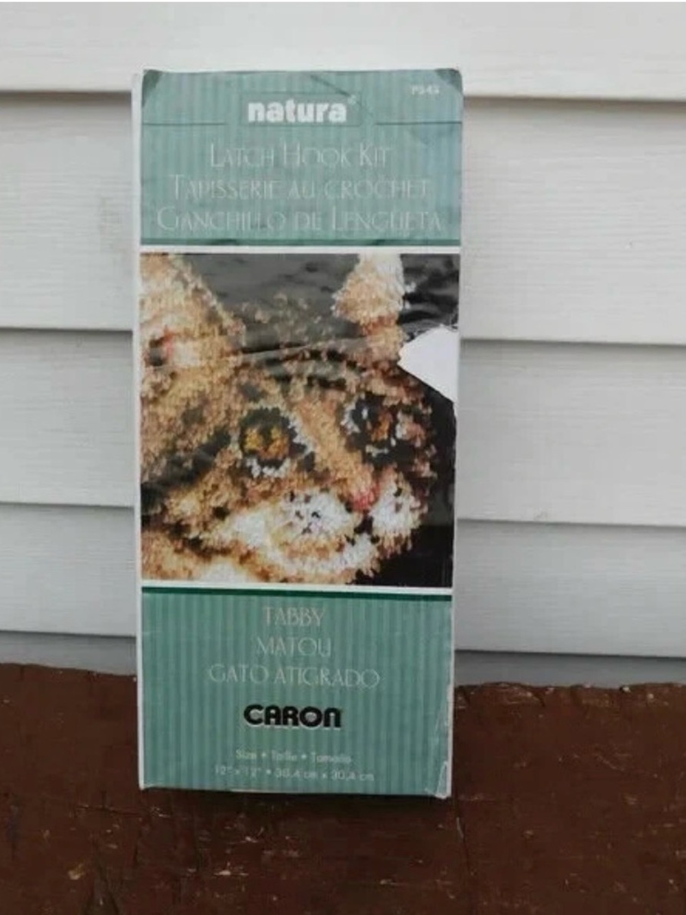 Carbon Tabby Cat Latch Hook Kit - Green and Brown